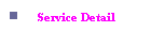 Service Detail